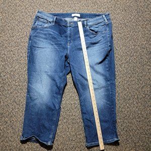 EUC Lane Bryant Hi-Rise Essential Stretch Straight Crop Size 24